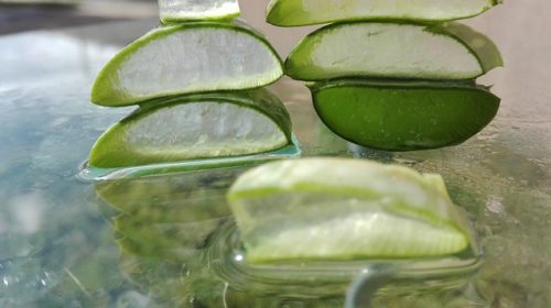 Le migliori creme all'Aloe Vera